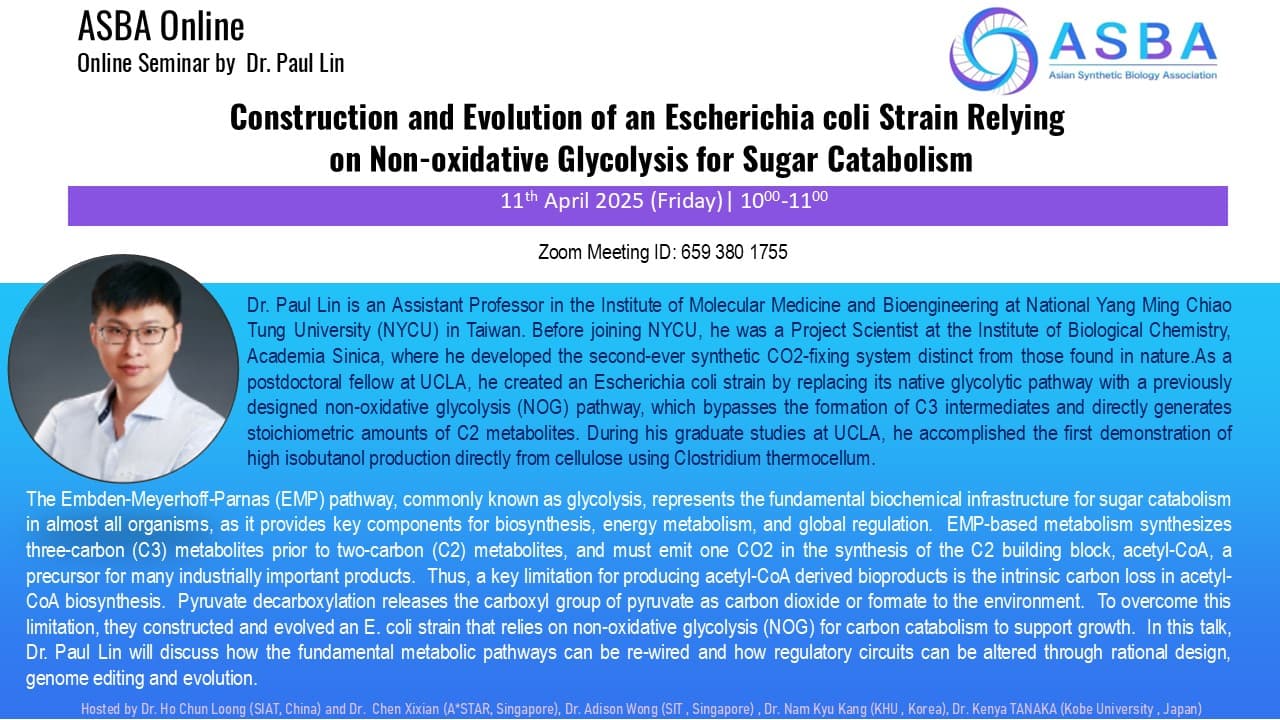 Construction & Evolution of Escherichia coli Strain Relying on Non-oxidative Glycolysis for Sugar Catabolism